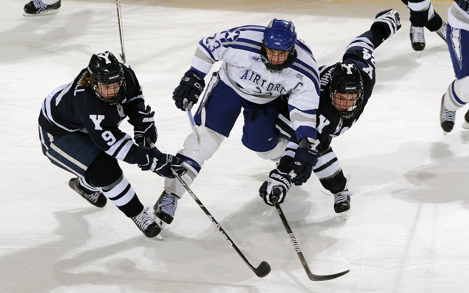 _湖人队士气高涨，迎来赢势_，湖人对队员