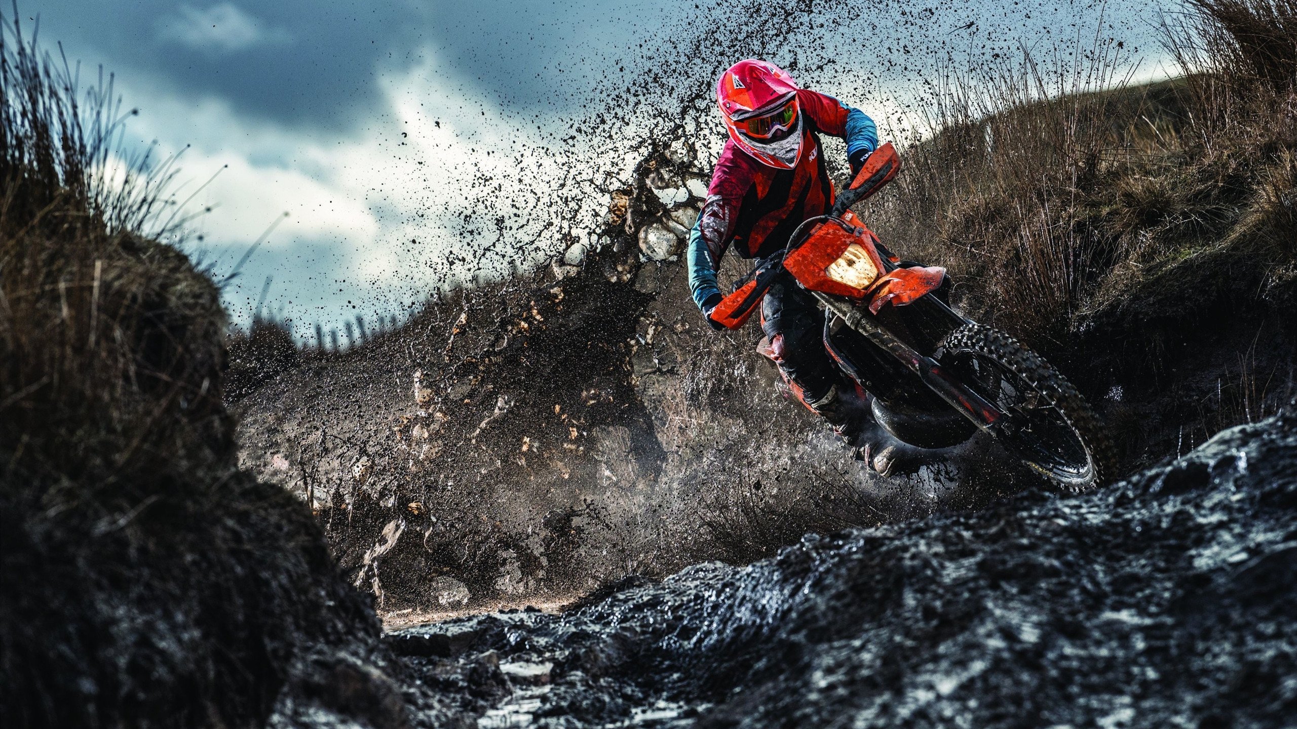 _赛场感恩：运动员感谢观众与团队的支持_，感谢运动员的一句话